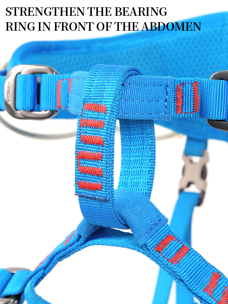 Xinda Children Half Body Safet - Kids Outdoor Climbing Structure review and price