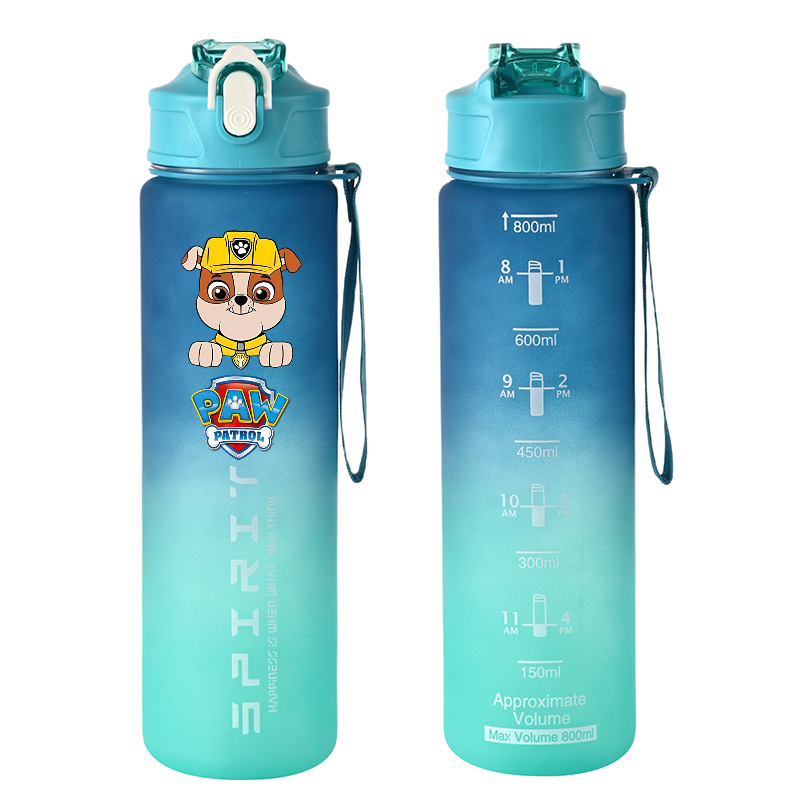 800ml PAW Patrol Sports Water  - Kids Outdoor Gym review and price
