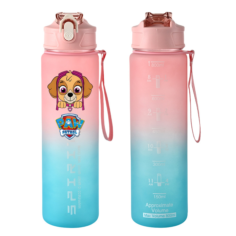 800ml PAW Patrol Sports Water  - Kids Outdoor Gym review and price