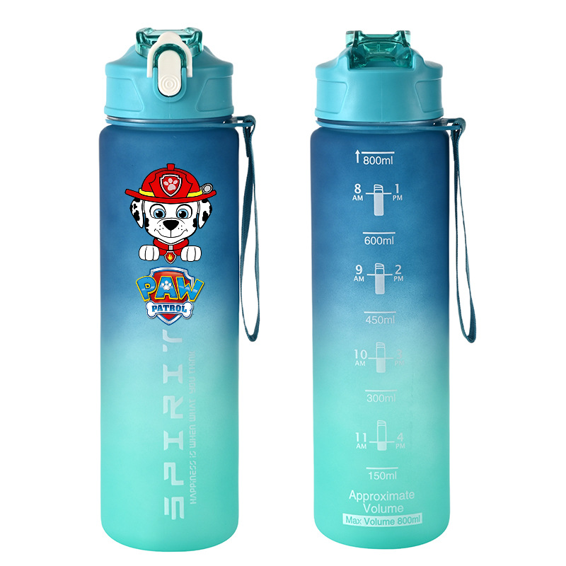 800ml PAW Patrol Sports Water  - Kids Outdoor Gym review and price